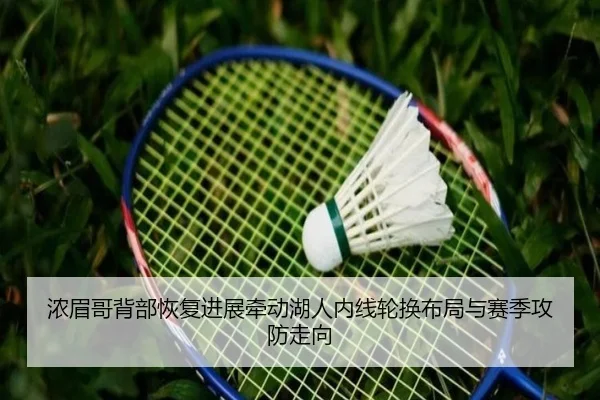 浓眉哥背部恢复进展牵动湖人内线轮换布局与赛季攻防走向